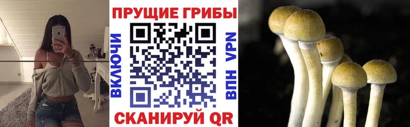 Псилоцибиновые грибы Magic Shrooms Заволжск